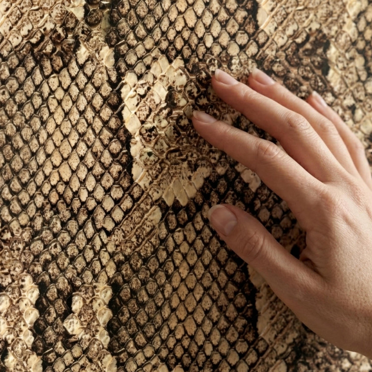 Snakeskin Pattern Textured Wallpaper, Peel and Stick Wall Mural, Modern Animal Print Decor, Edgy Maximalist Wall Art