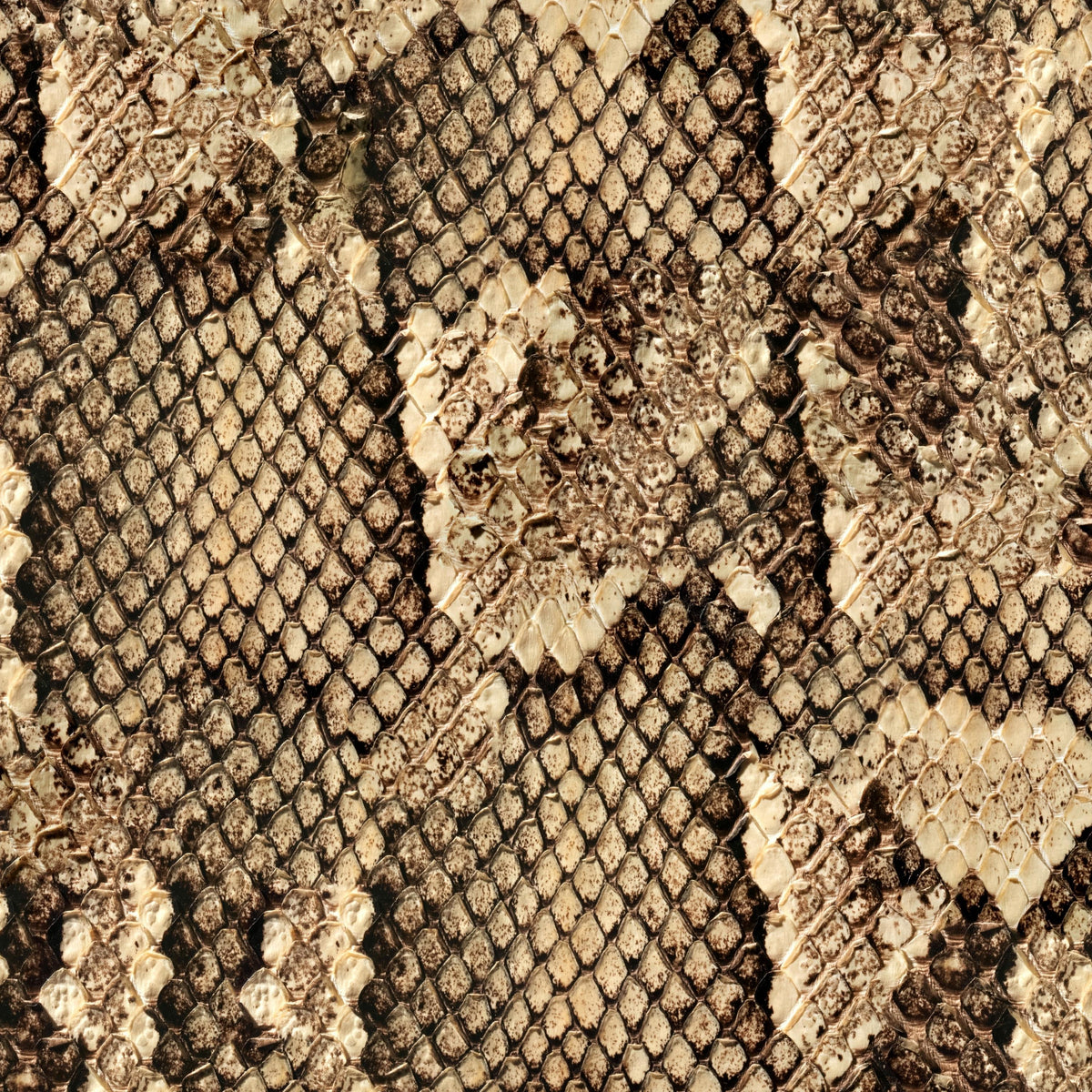 Snakeskin Pattern Textured Wallpaper, Peel and Stick Wall Mural, Modern Animal Print Decor, Edgy Maximalist Wall Art