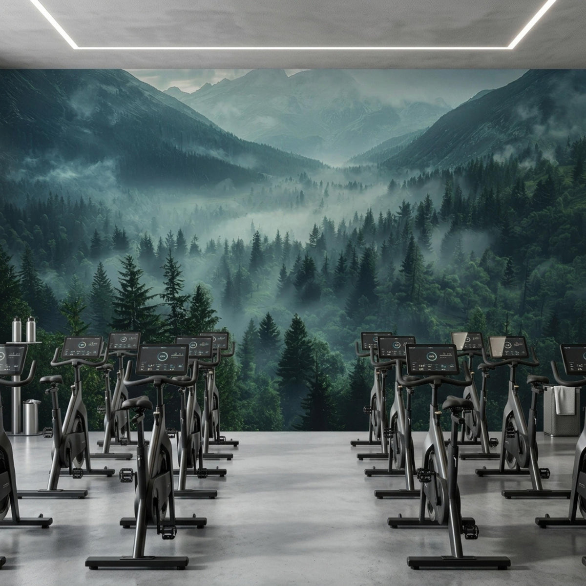 A fitness studio features rows of black stationary bikes facing a large wall mural of a misty pine forest and mountain valley.