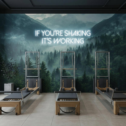 A pilates studio displays three reformer machines positioned against a dark wall mural of a foggy pine forest with a glowing neon quote.