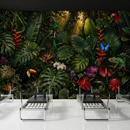A room with a dark tropical rainforest wall mural and two black pilates reformers.
