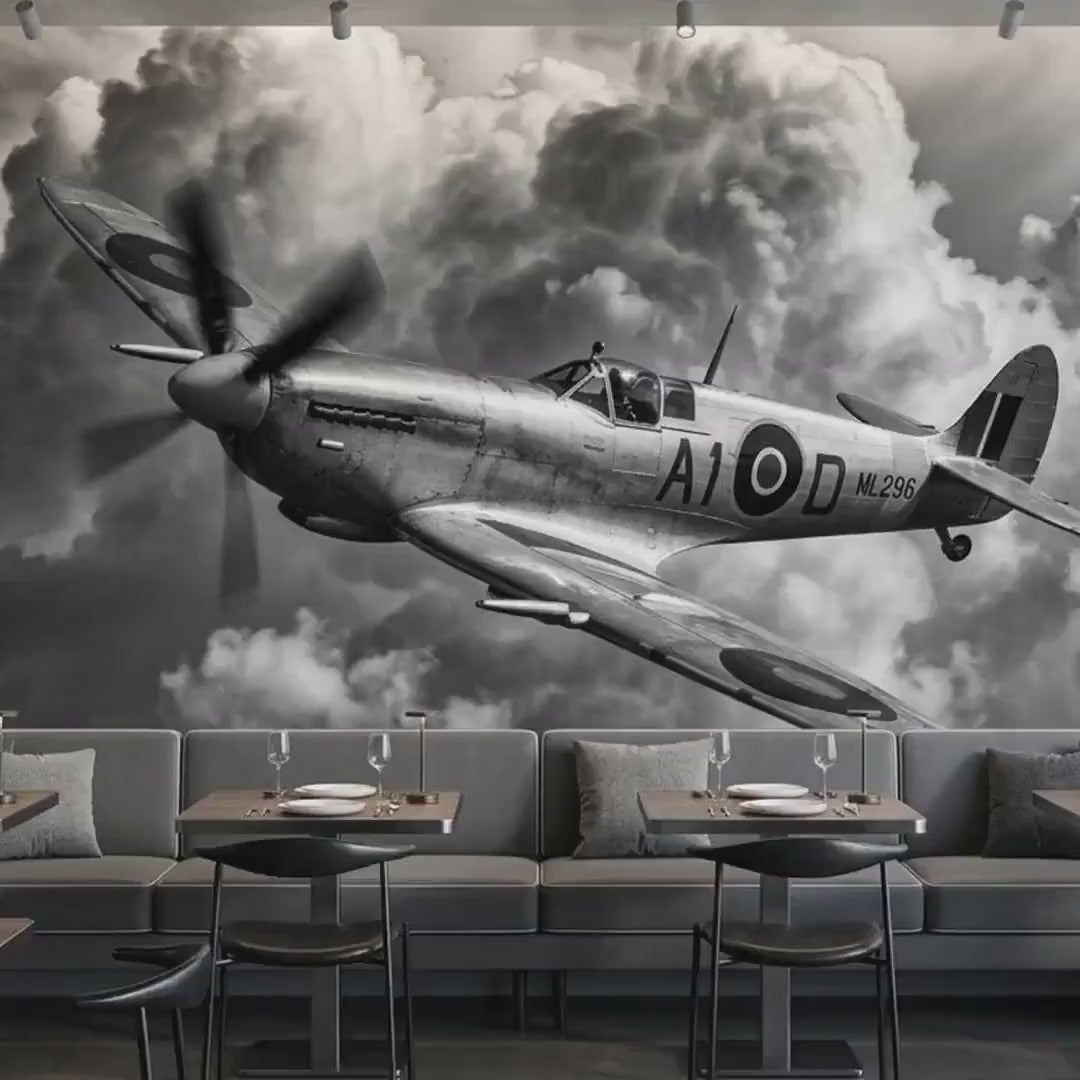 Vintage Spitfire Airplane Mural, Monochrome Warbird Wall Art (Digital Download)